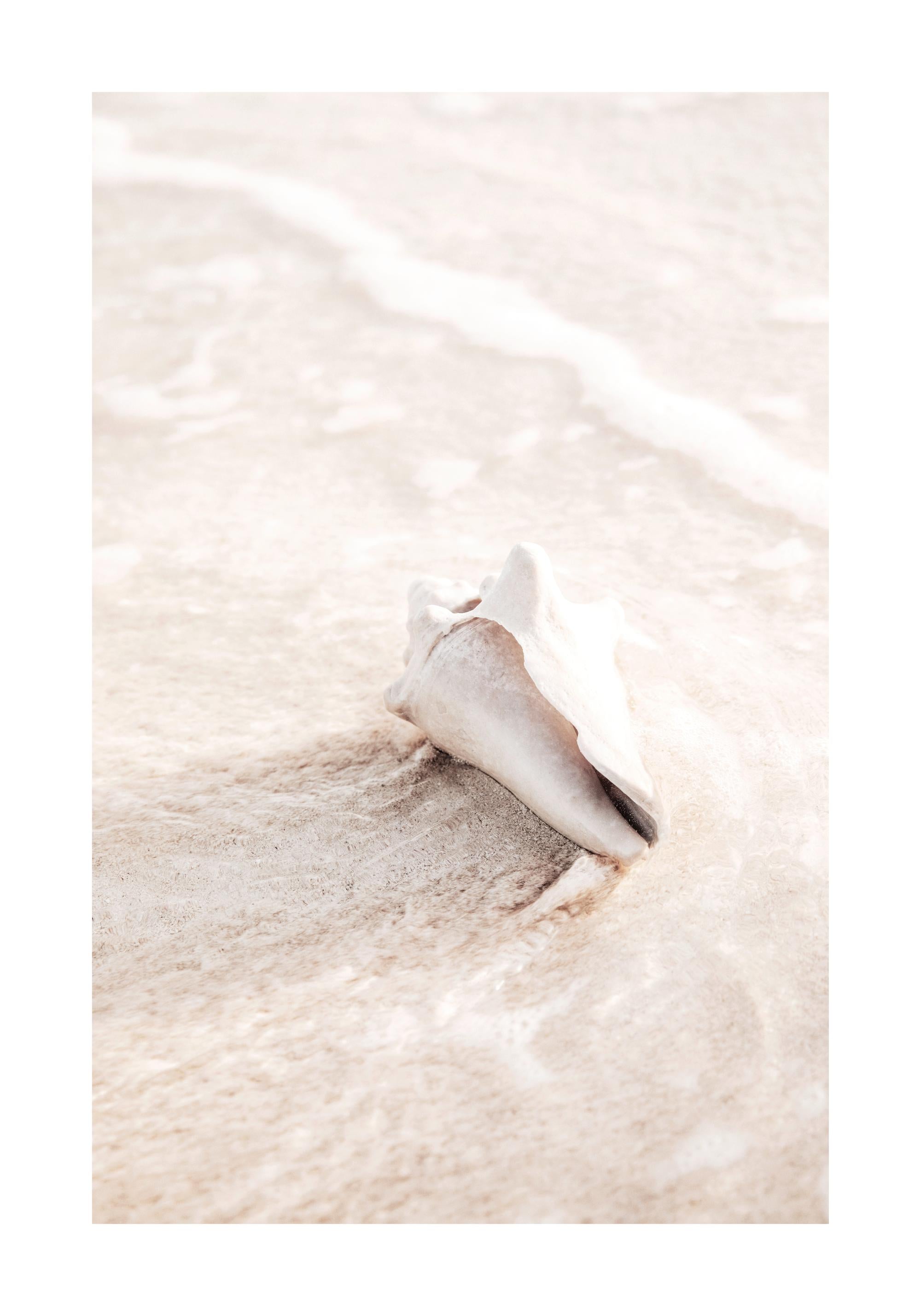 Nature Creation Print