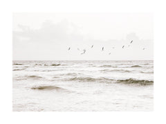 Flock of Seabirds Print