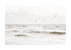 Flock of Seabirds Print