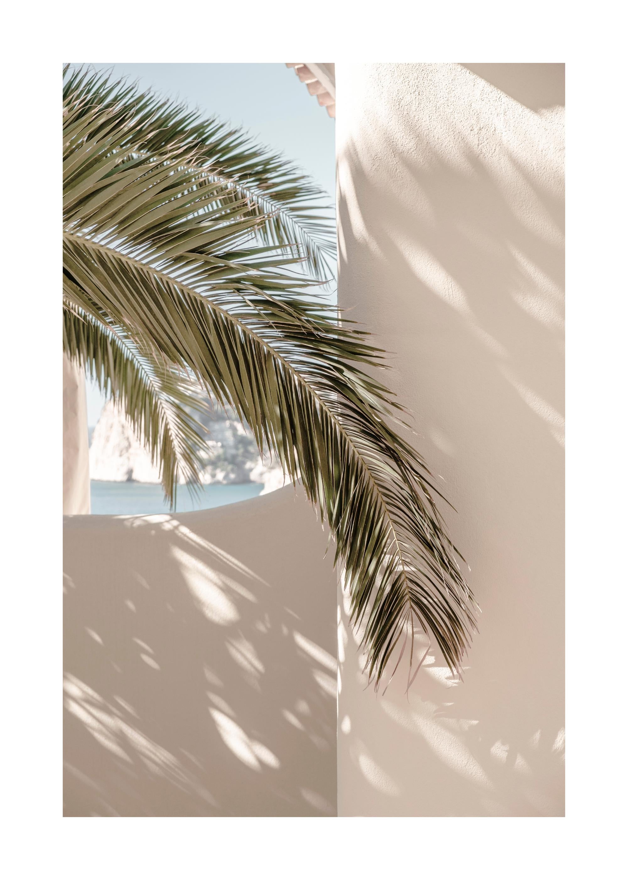 Tropical Shadow Print
