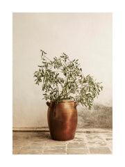 Rustic Olive Branch Print
