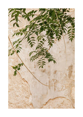 Concrete Leaves Print