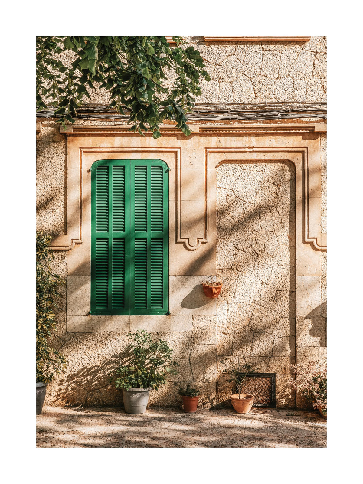 Green Window Print