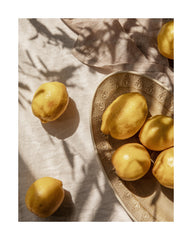 Lemons In Sunlight Print