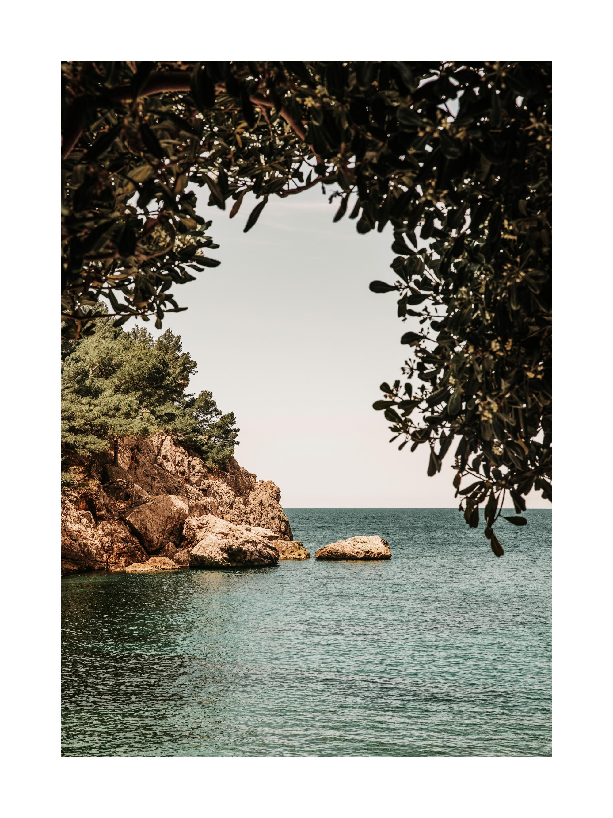 Organic Arch Print