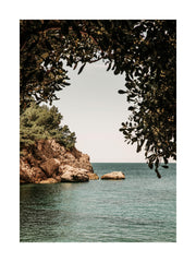 Organic Arch Print