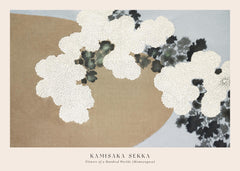 Kamisaka Sekka - Flowers of a Hundred Worlds (Momoyogusa) Print