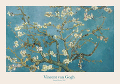 Van Gogh - Almond Blossom Print