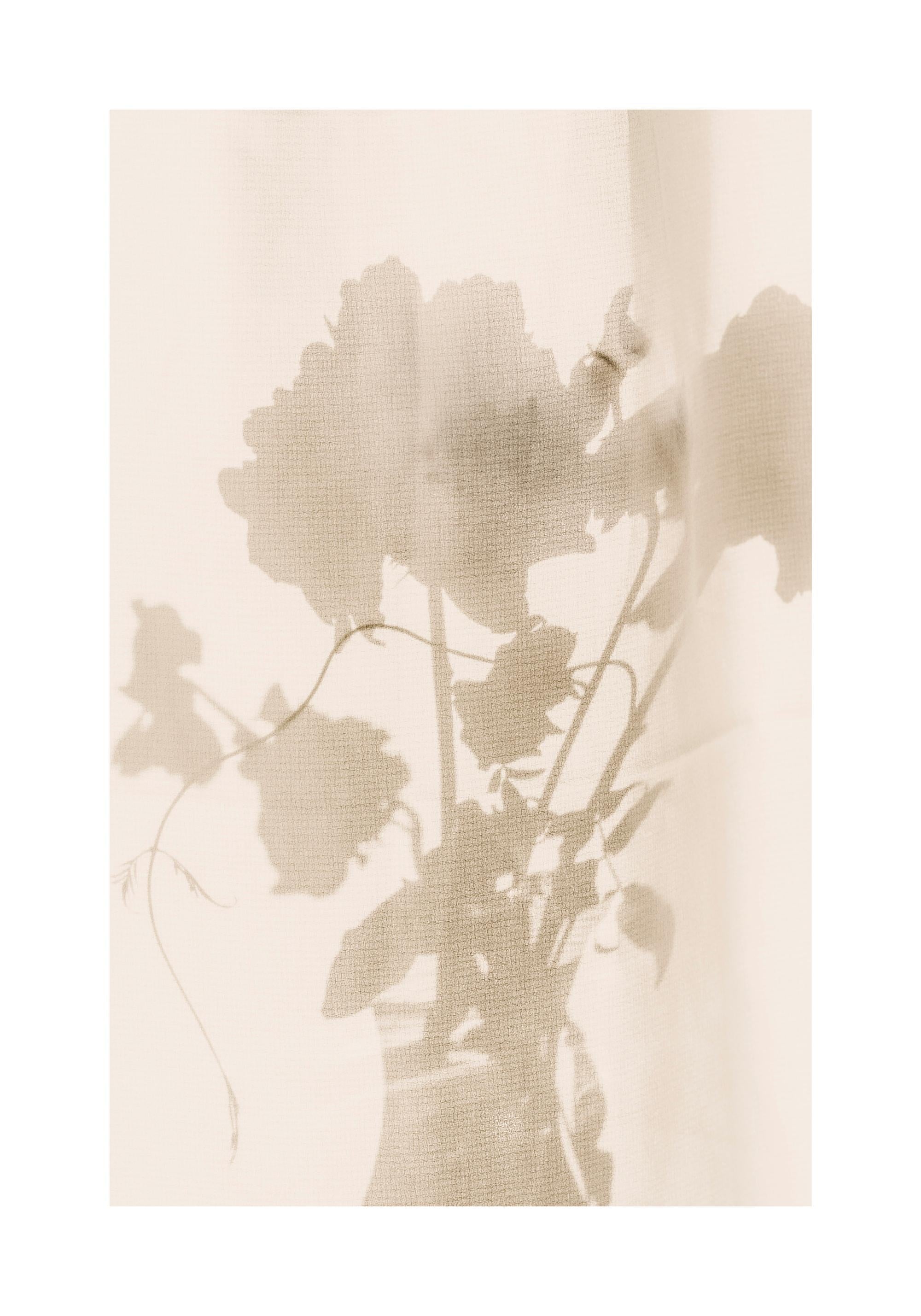 Flower Shade Print