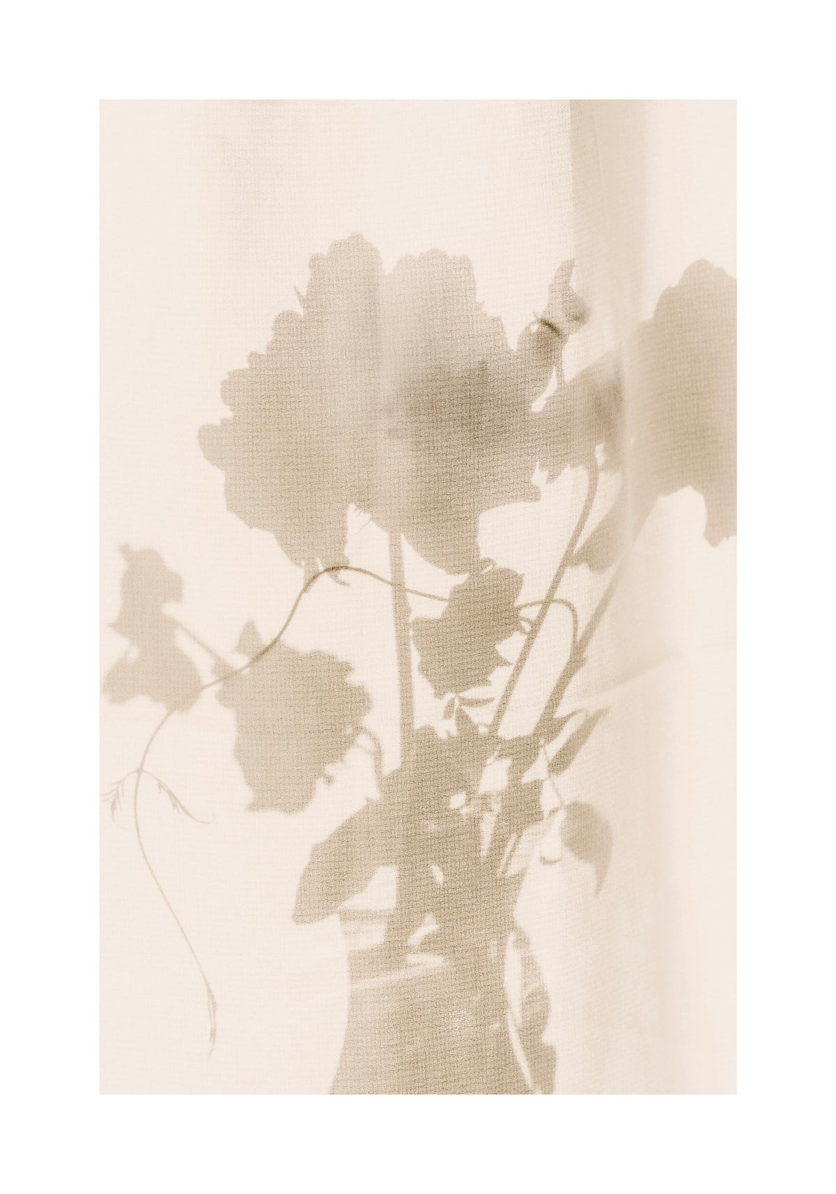 Flower Shade Print