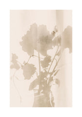 Flower Shade Print