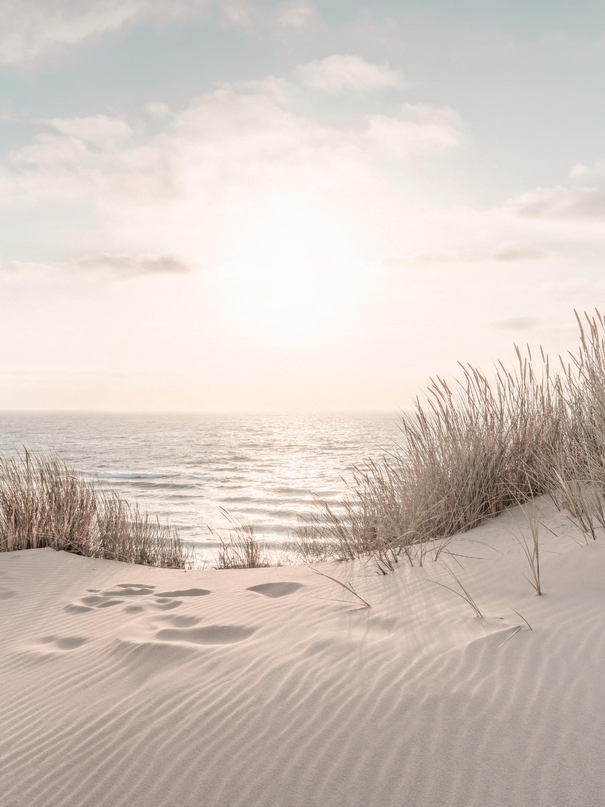 Dune Beach No2 Print