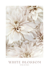 White Blossom No2 Print