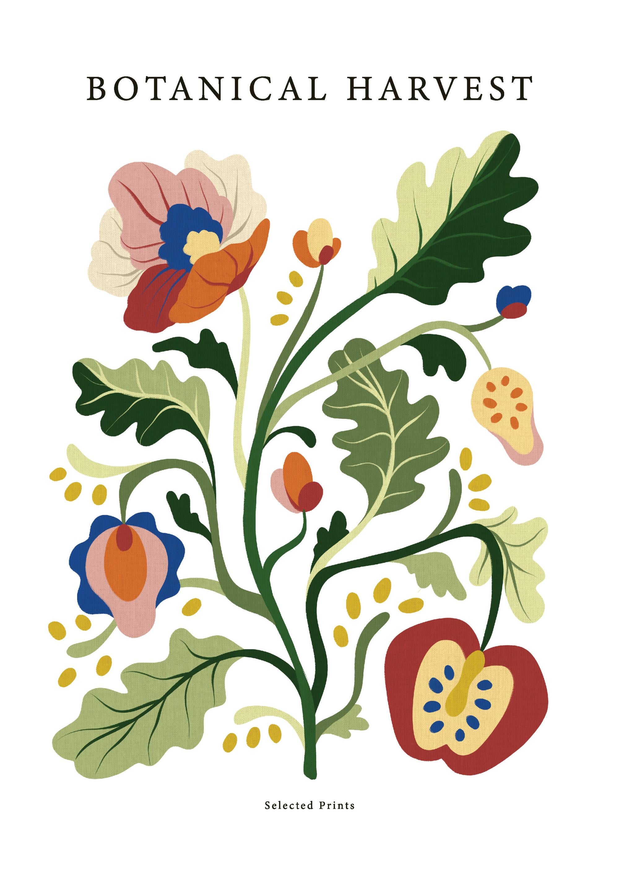 Botanical Harvest No2 Print