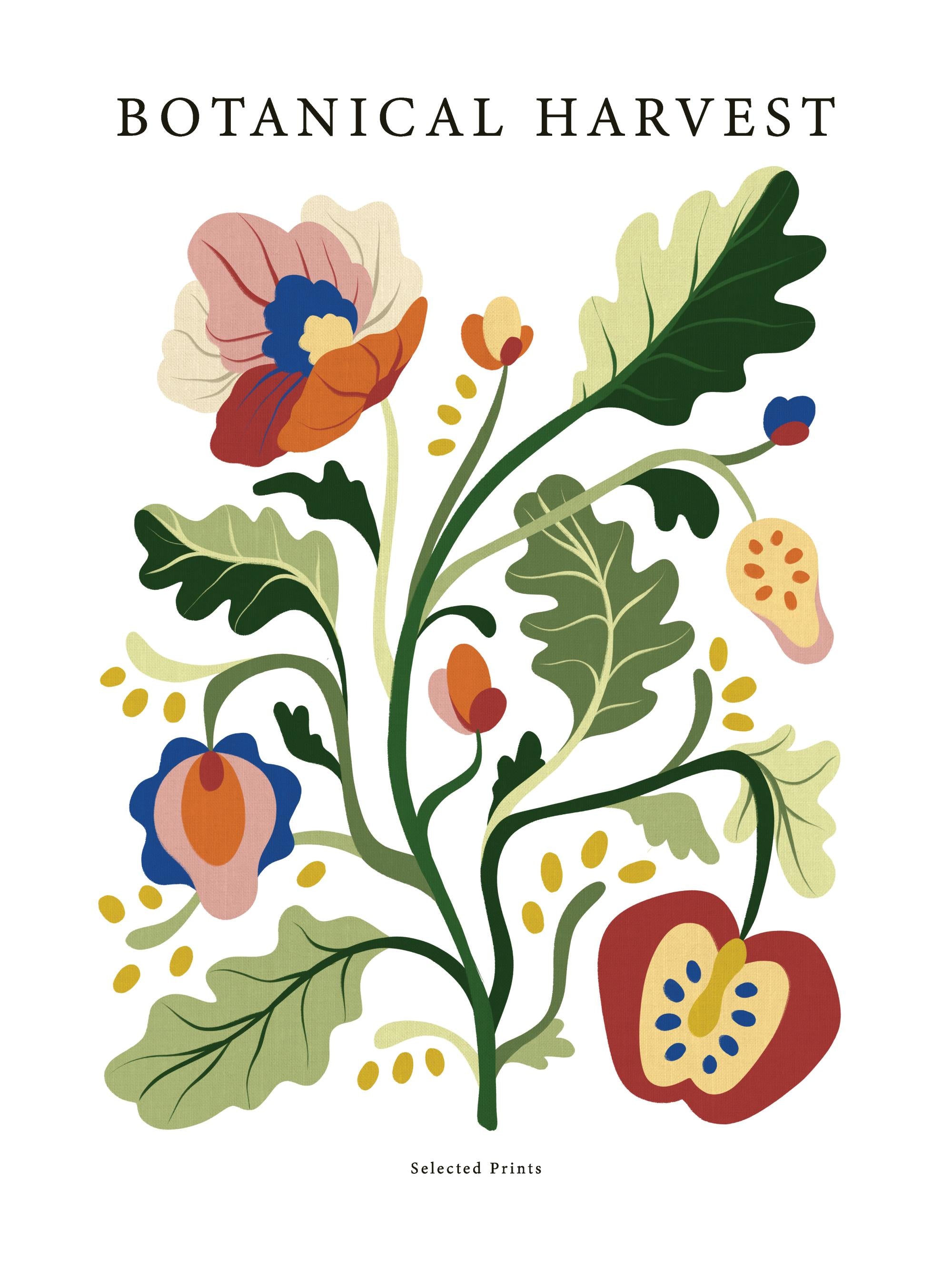Botanical Harvest No2 Print