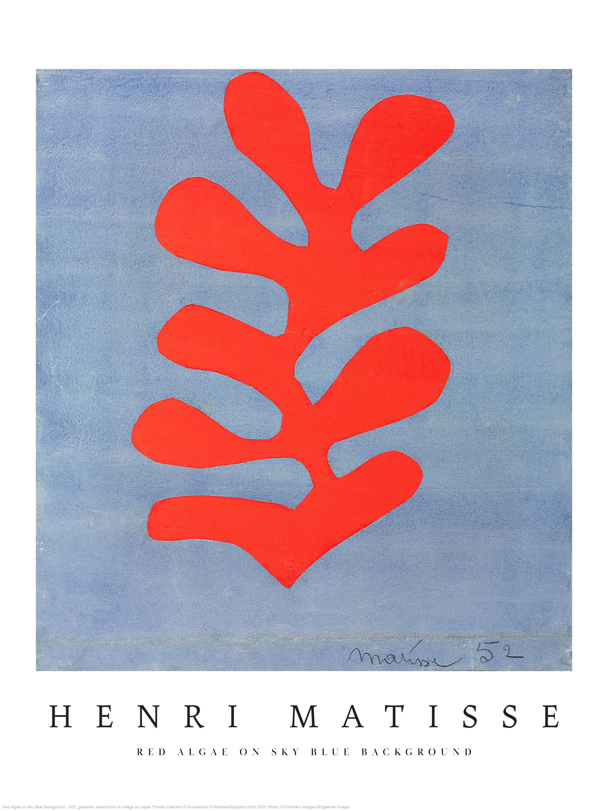 Matisse - Red Algae on Sky Blue Background Print