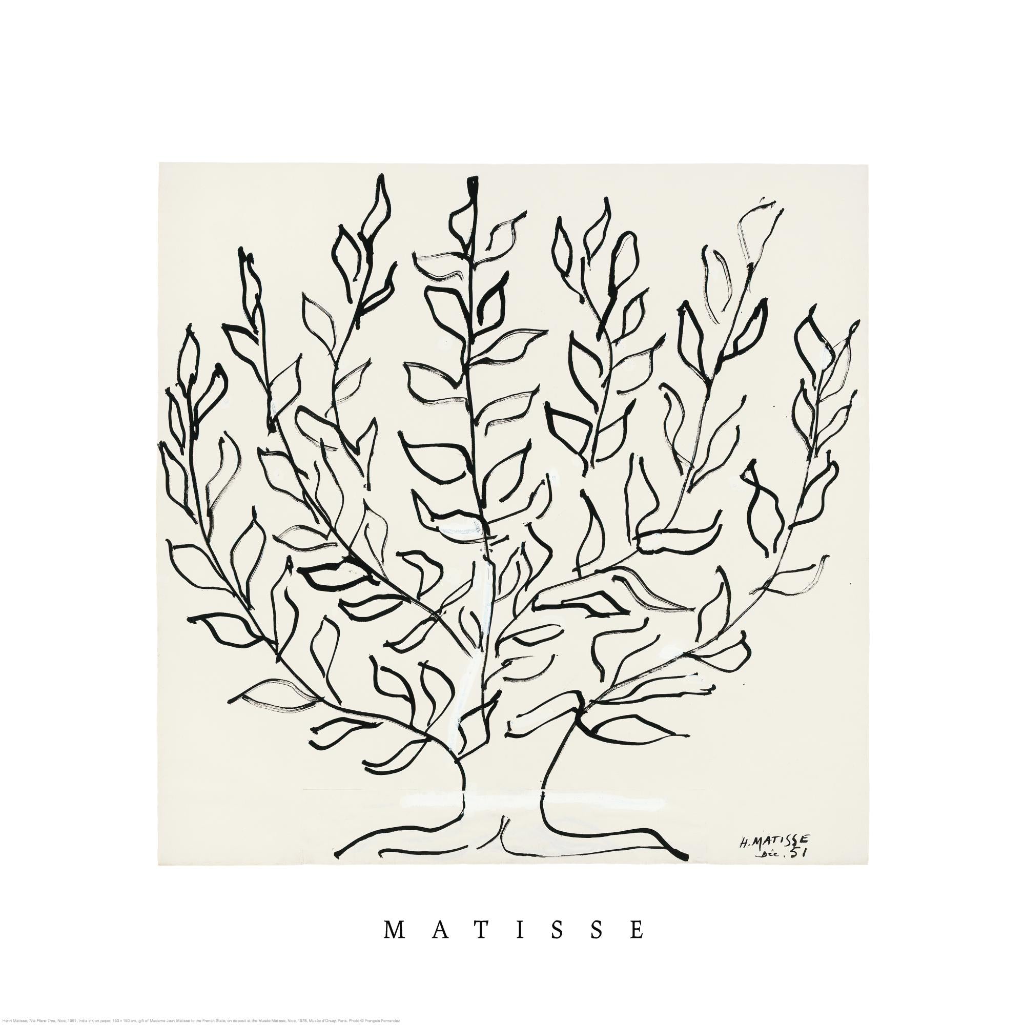 Matisse - The Plane Tree Square Print