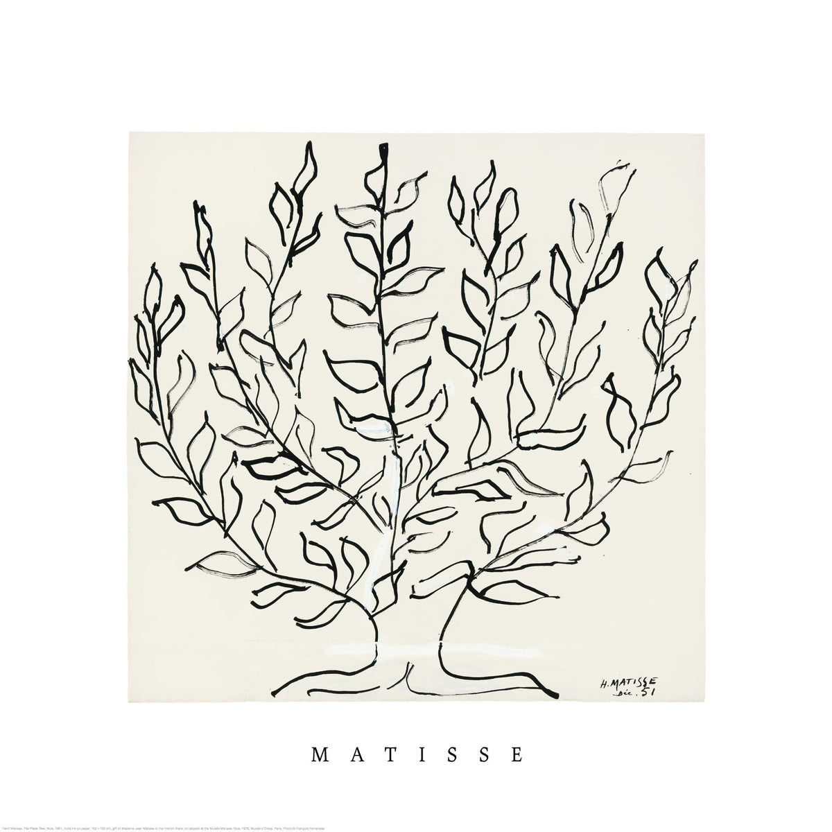 Matisse - The Plane Tree Square Print