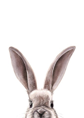 Watercolor Bunny Print