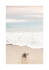 Turtle on the Beach Print