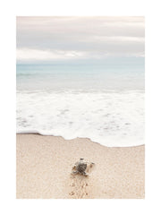 Turtle on the Beach Print