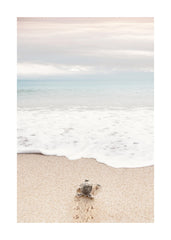 Turtle on the Beach Print