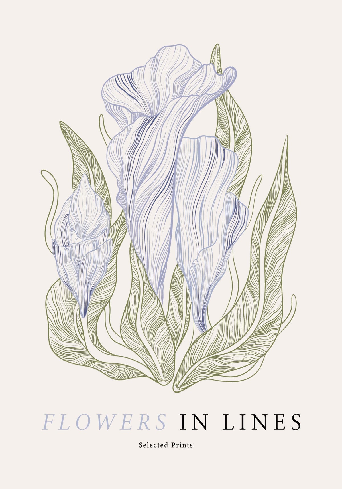 Flowers in Lines No1 Print