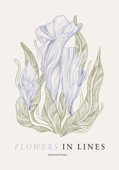 Flowers in Lines No1 Print