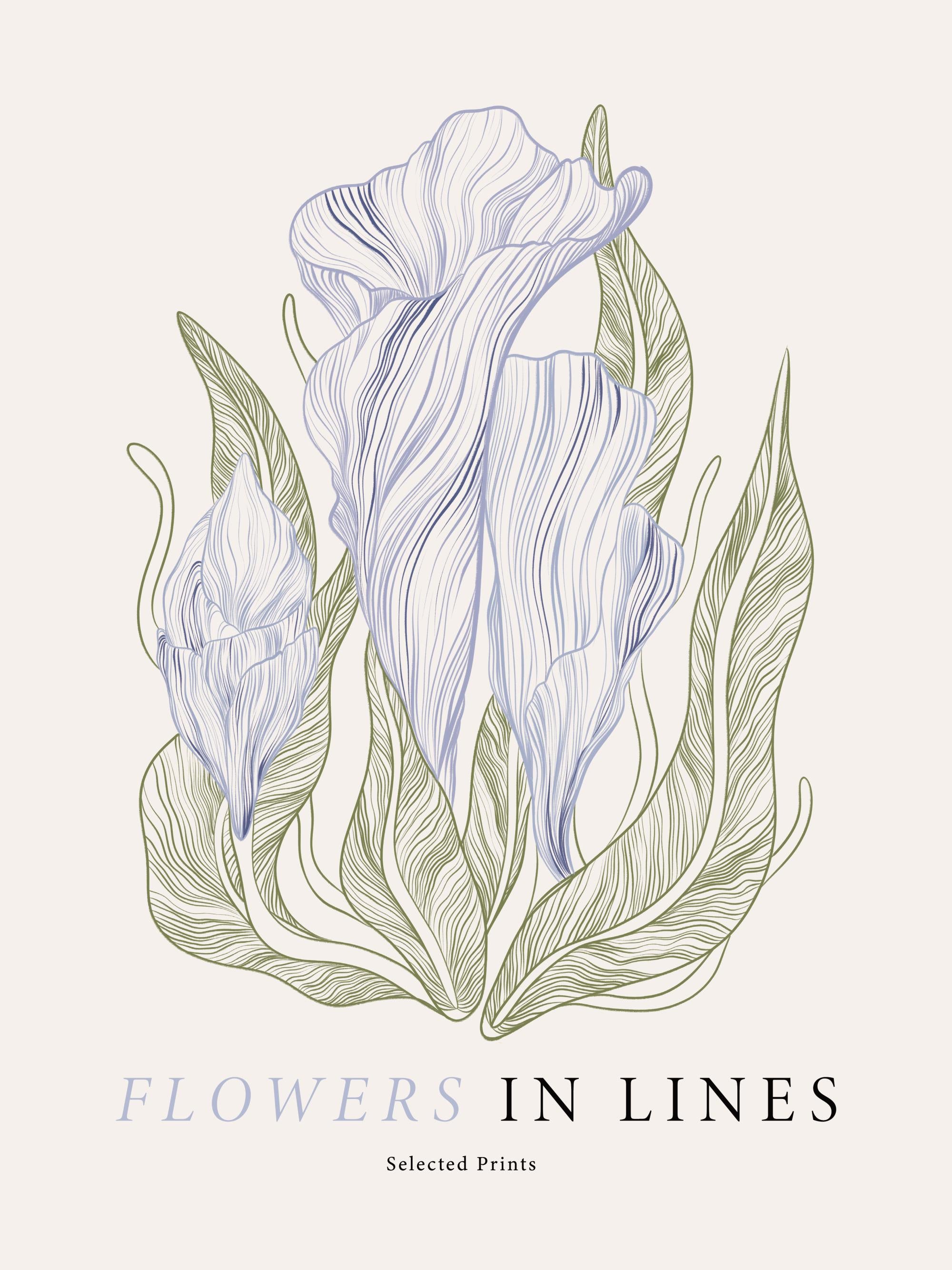 Flowers in Lines No1 Print