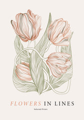 Flowers in Lines No2 Print