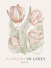 Flowers in Lines No2 Print