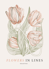 Flowers in Lines No2 Print