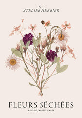 Fleurs Séchées Print