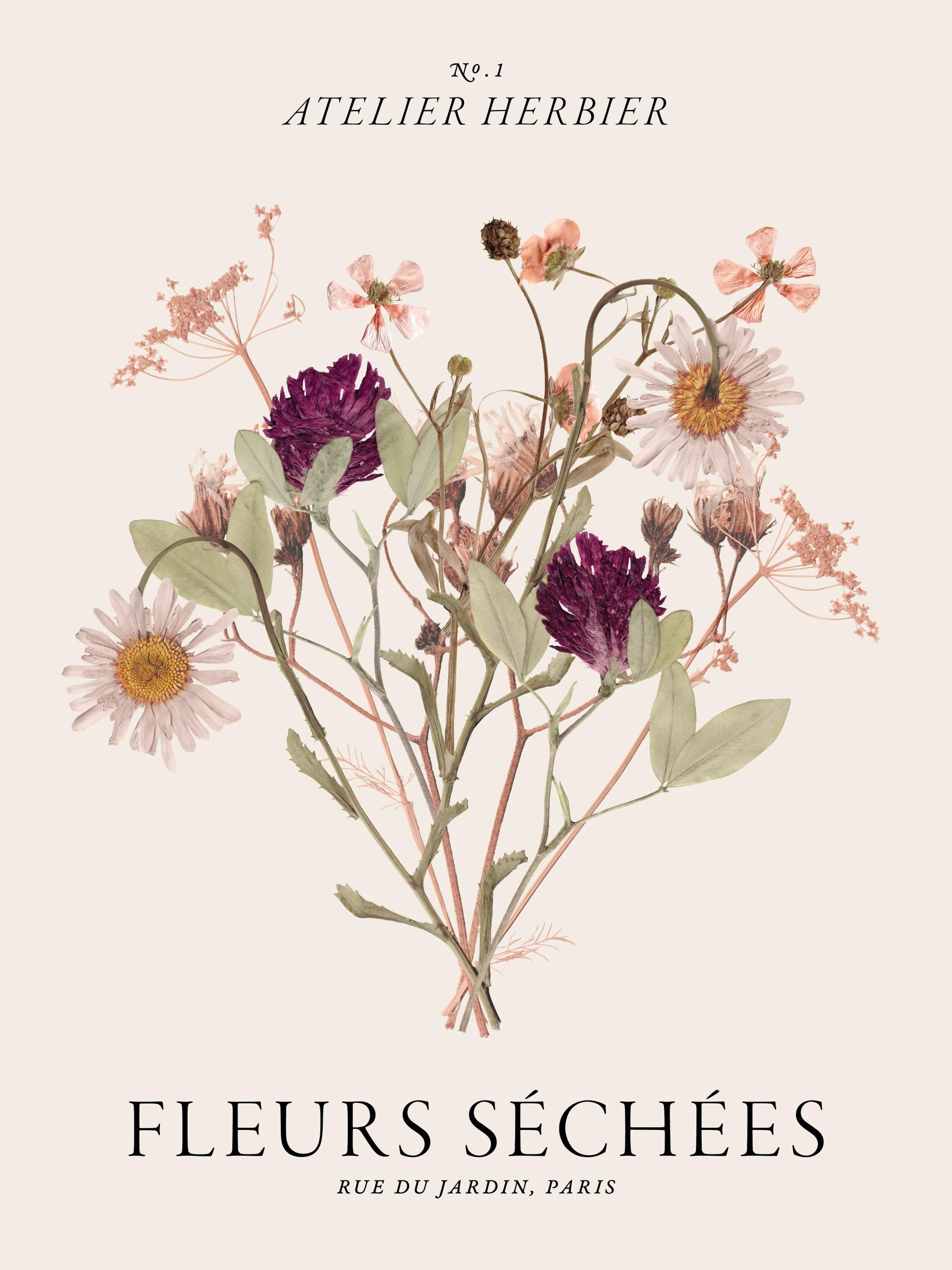 Fleurs Séchées Print