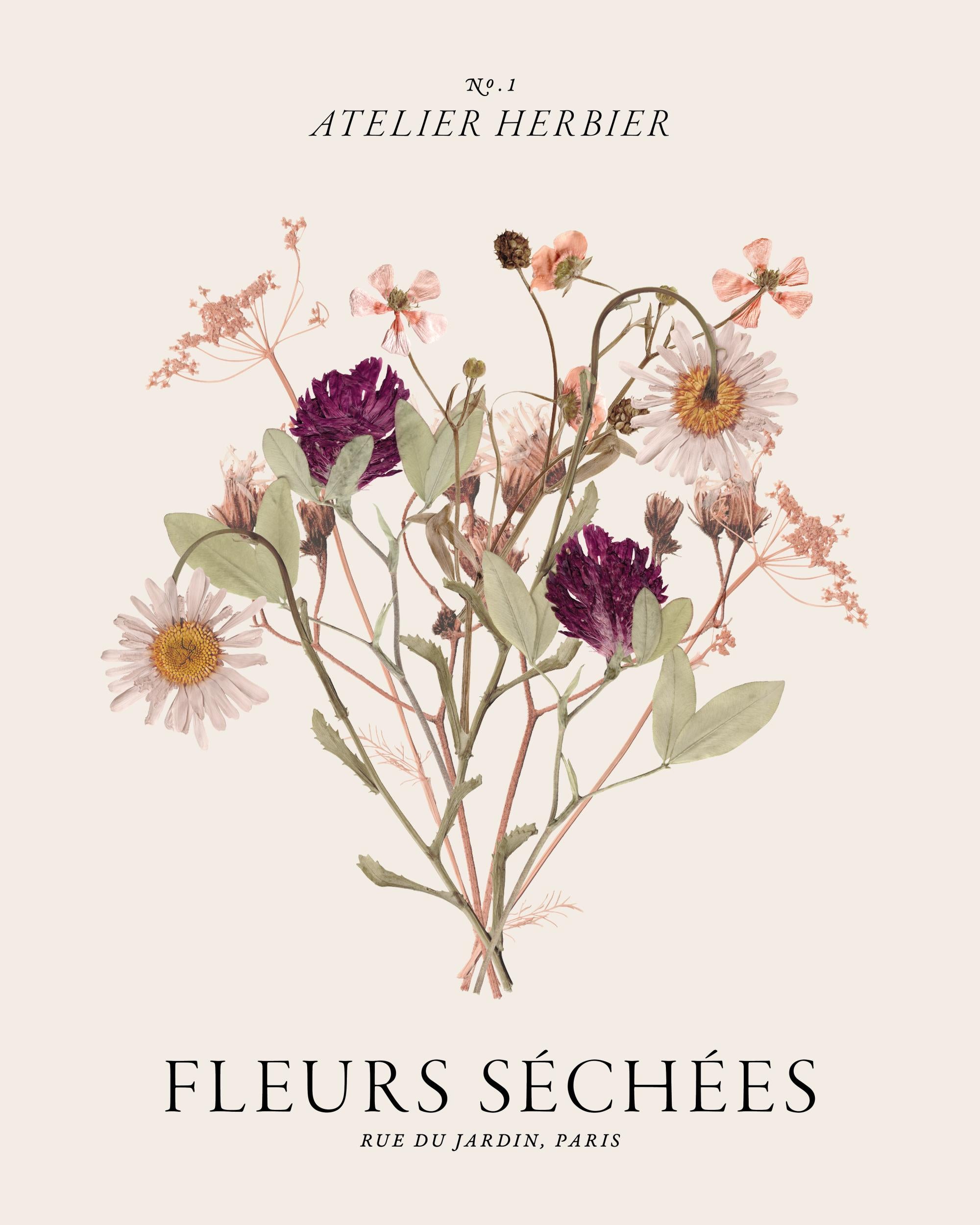 Fleurs Séchées Print