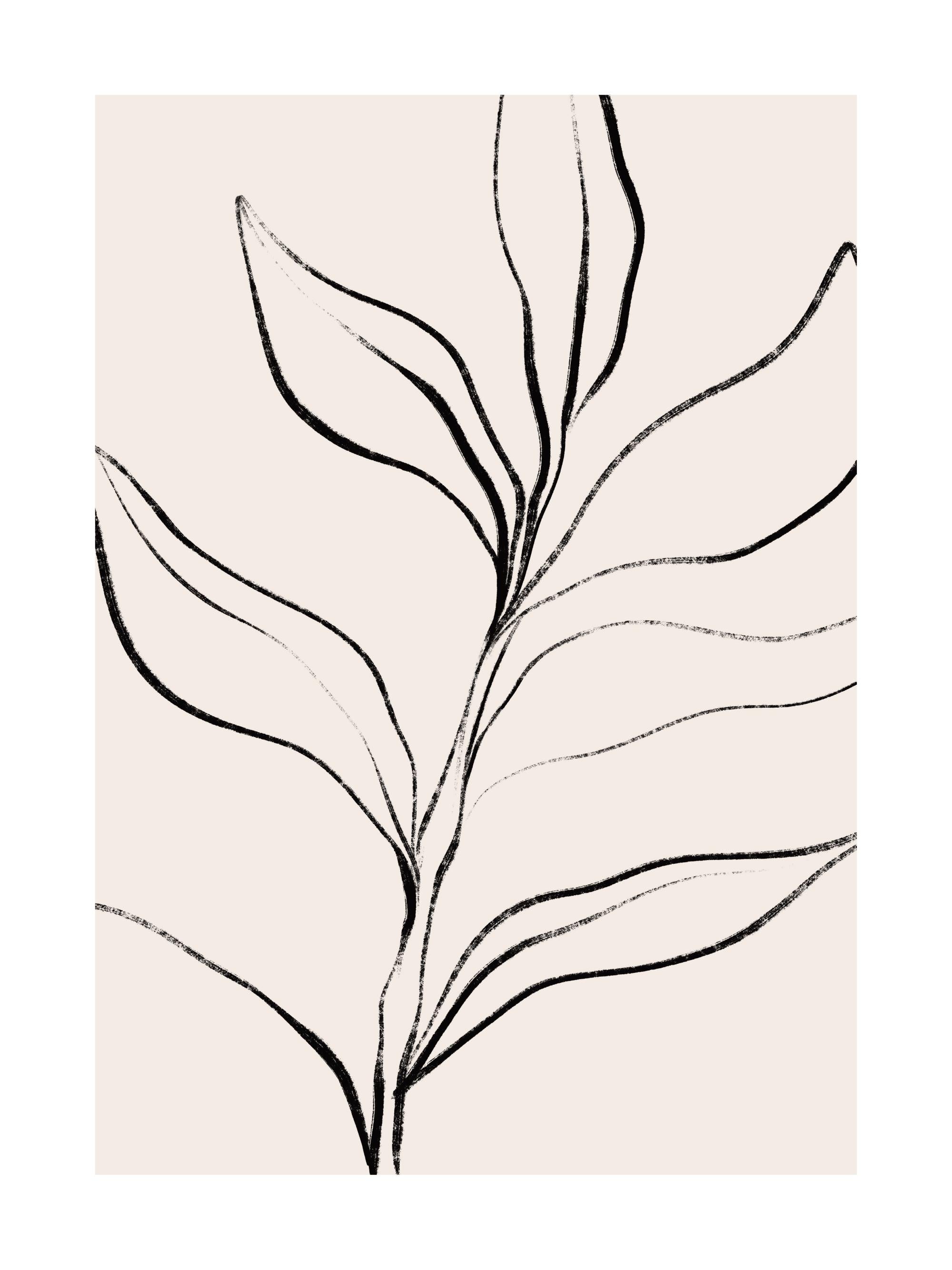 Botanical Lines Print