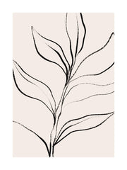 Botanical Lines Print