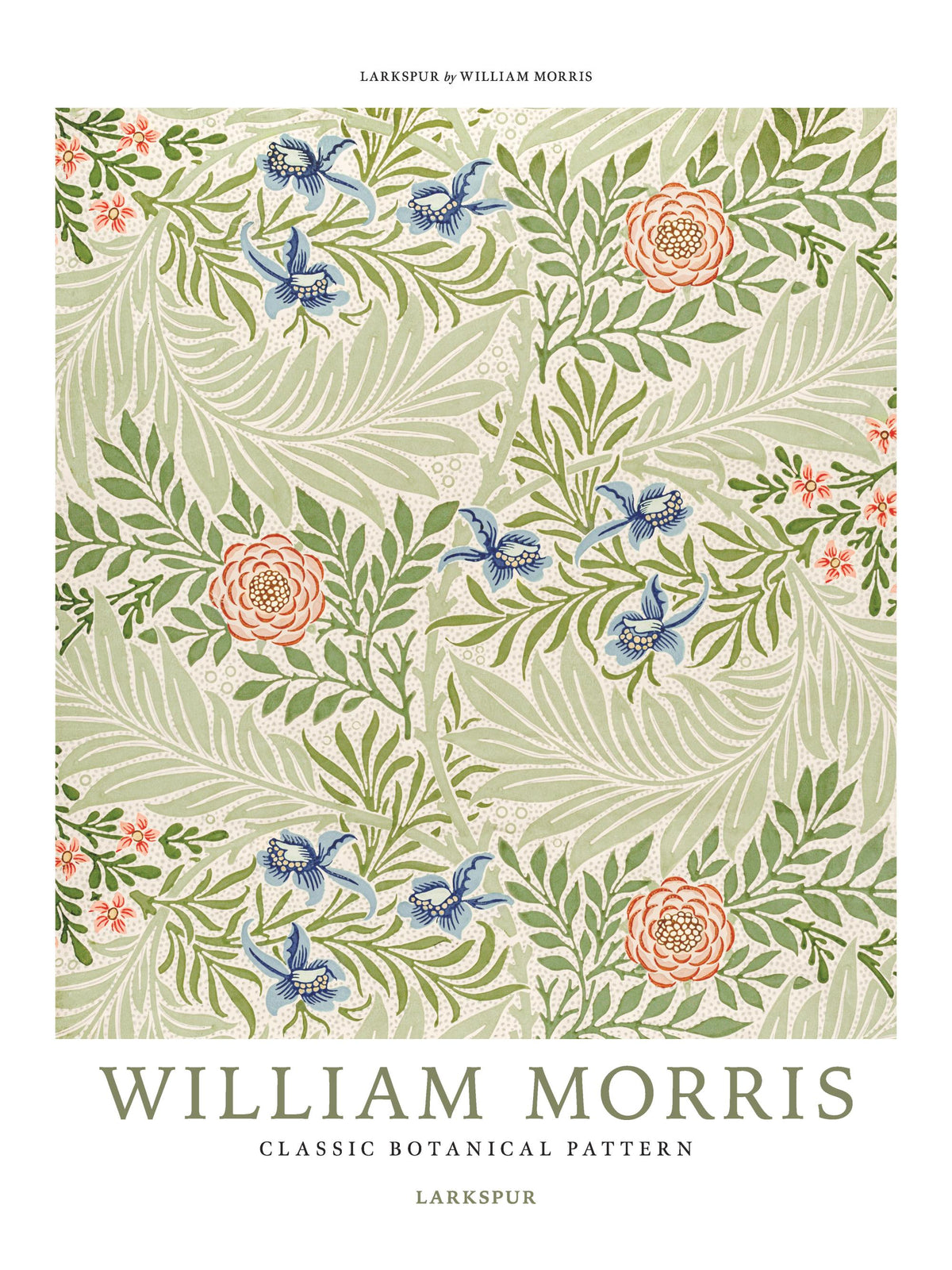 William Morris - Larkspur No4 Print
