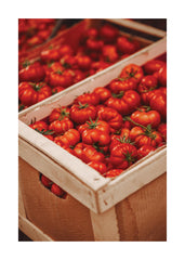 Pomodoro Passion Print