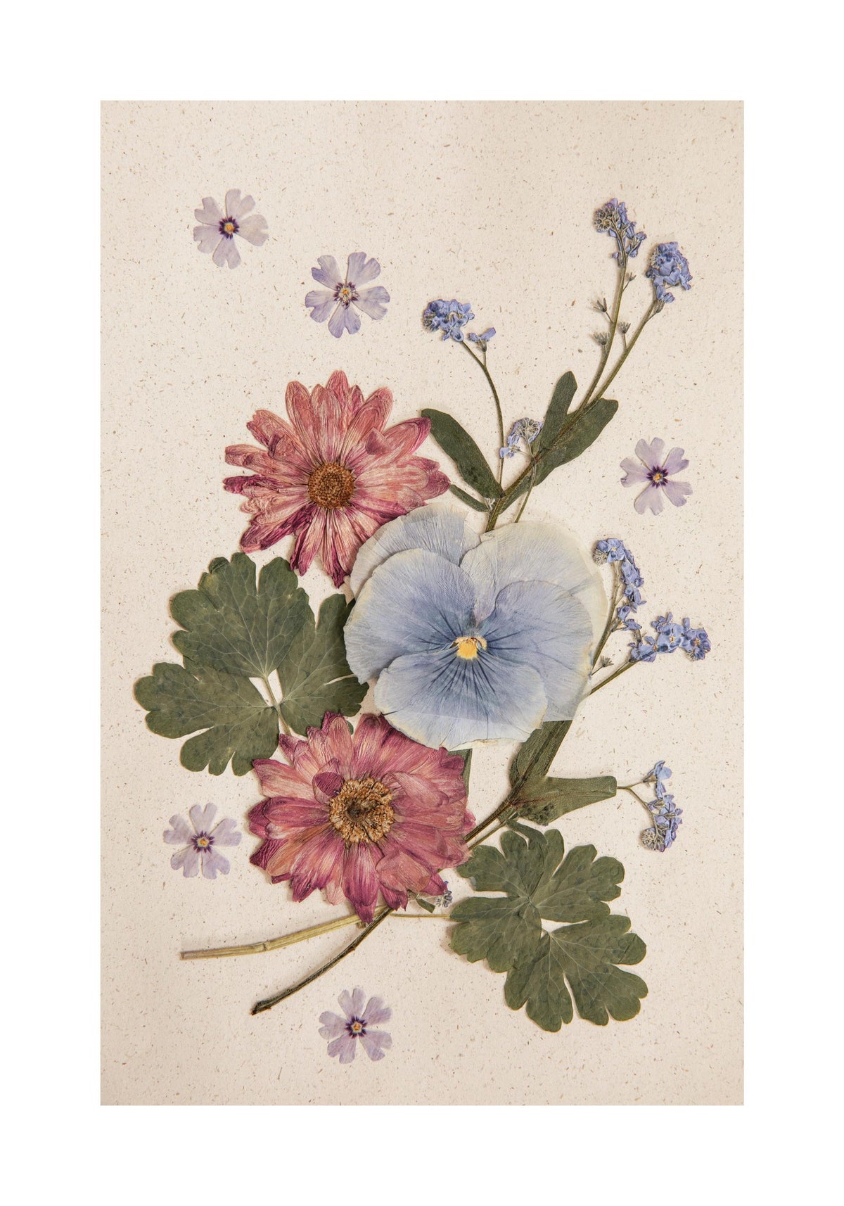 Pressed Blossom Print