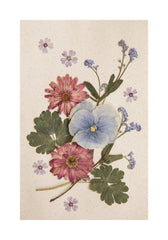 Pressed Blossom Print