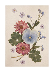 Pressed Blossom Print