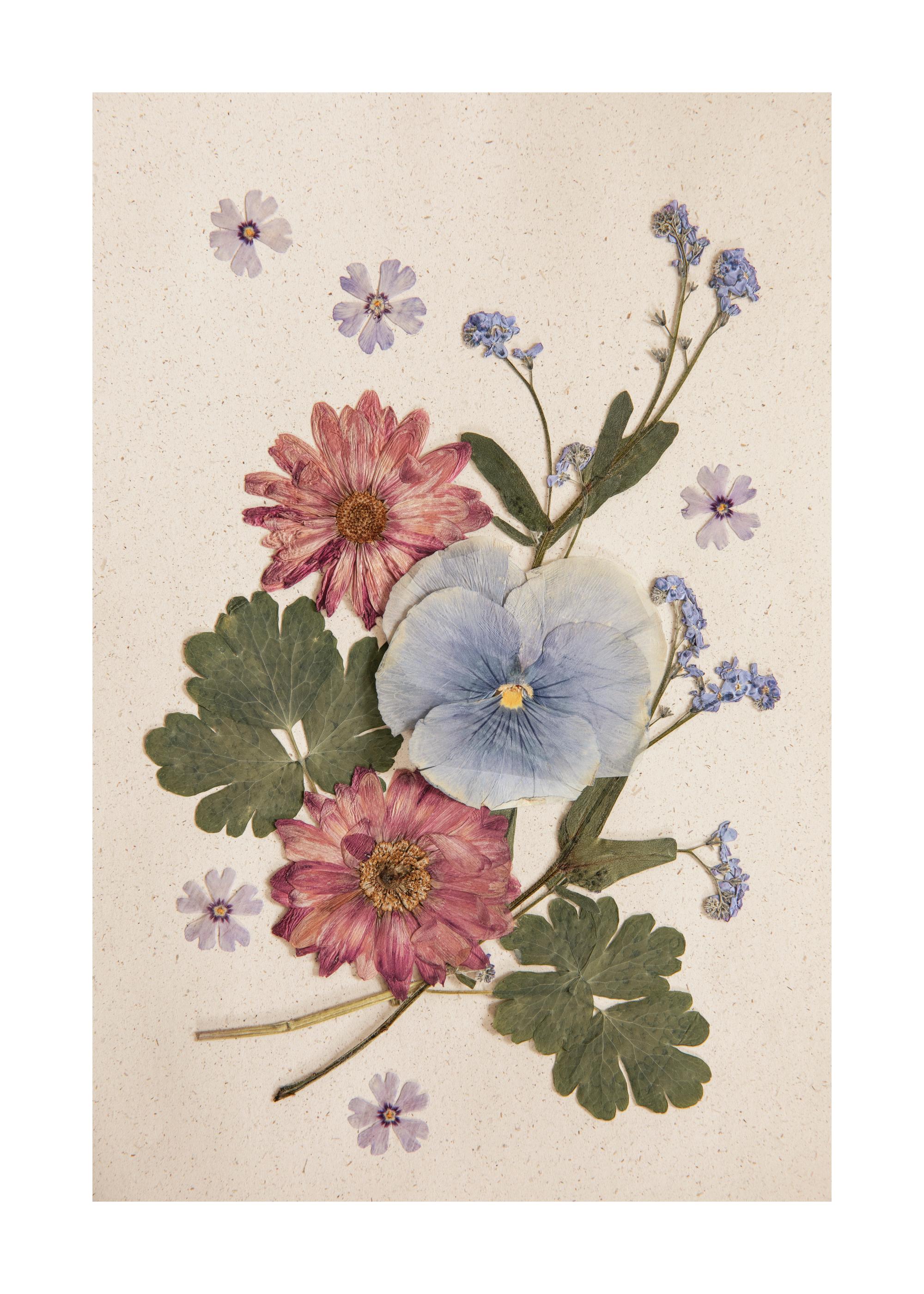 Pressed Blossom Print