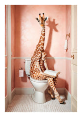 Giraffe Sitting on the Toilet Print