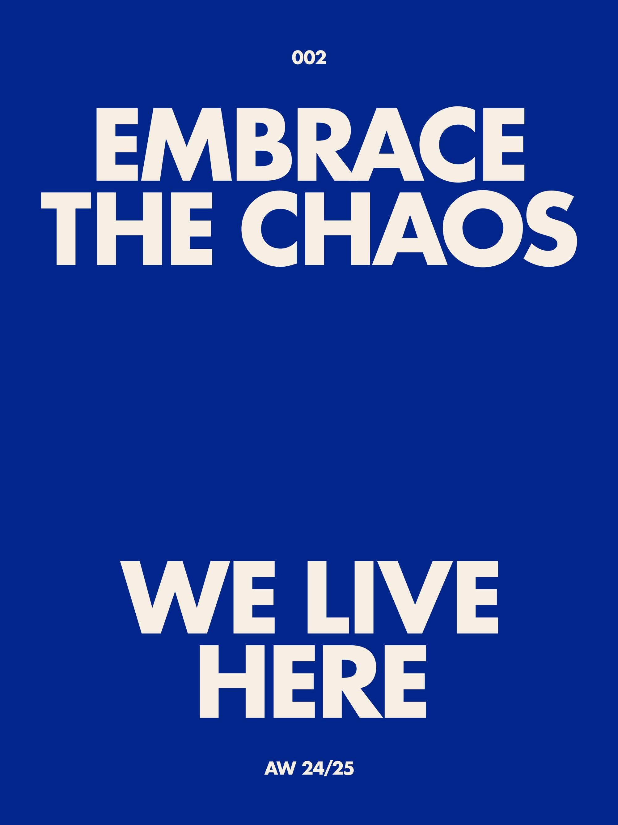 Embrace the Chaos Print