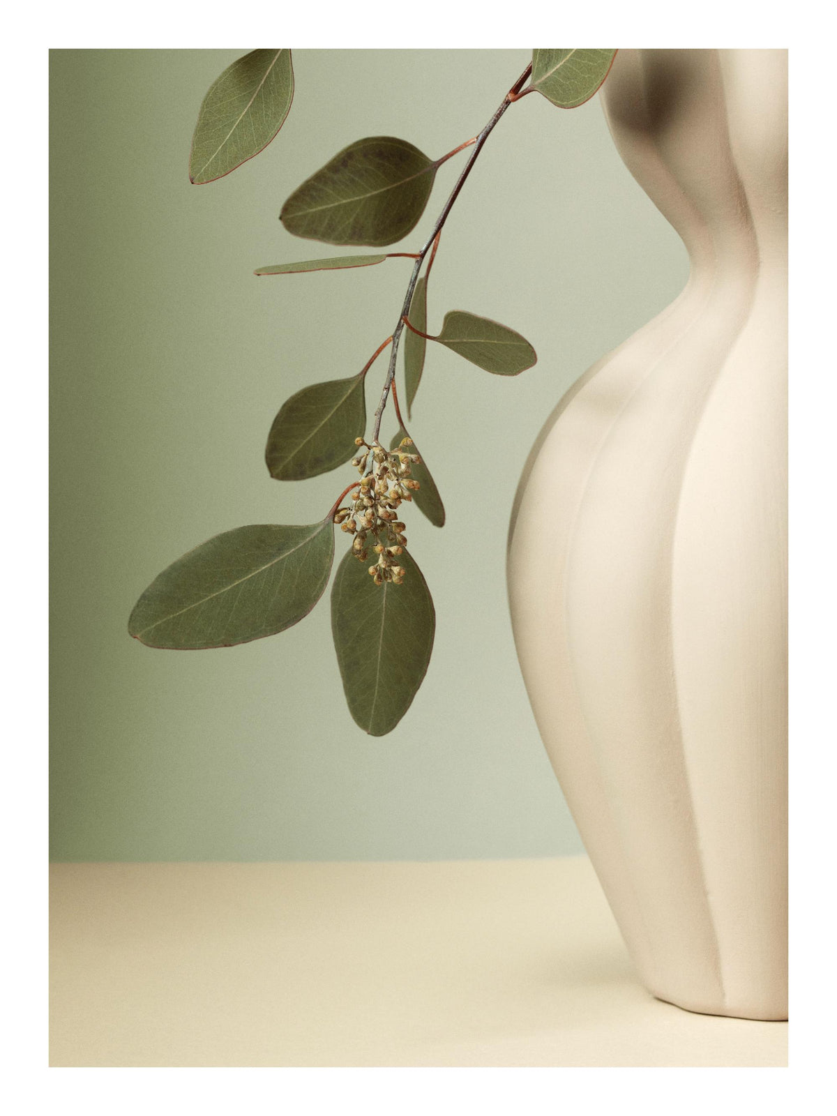 Soft Eucalyptus Print