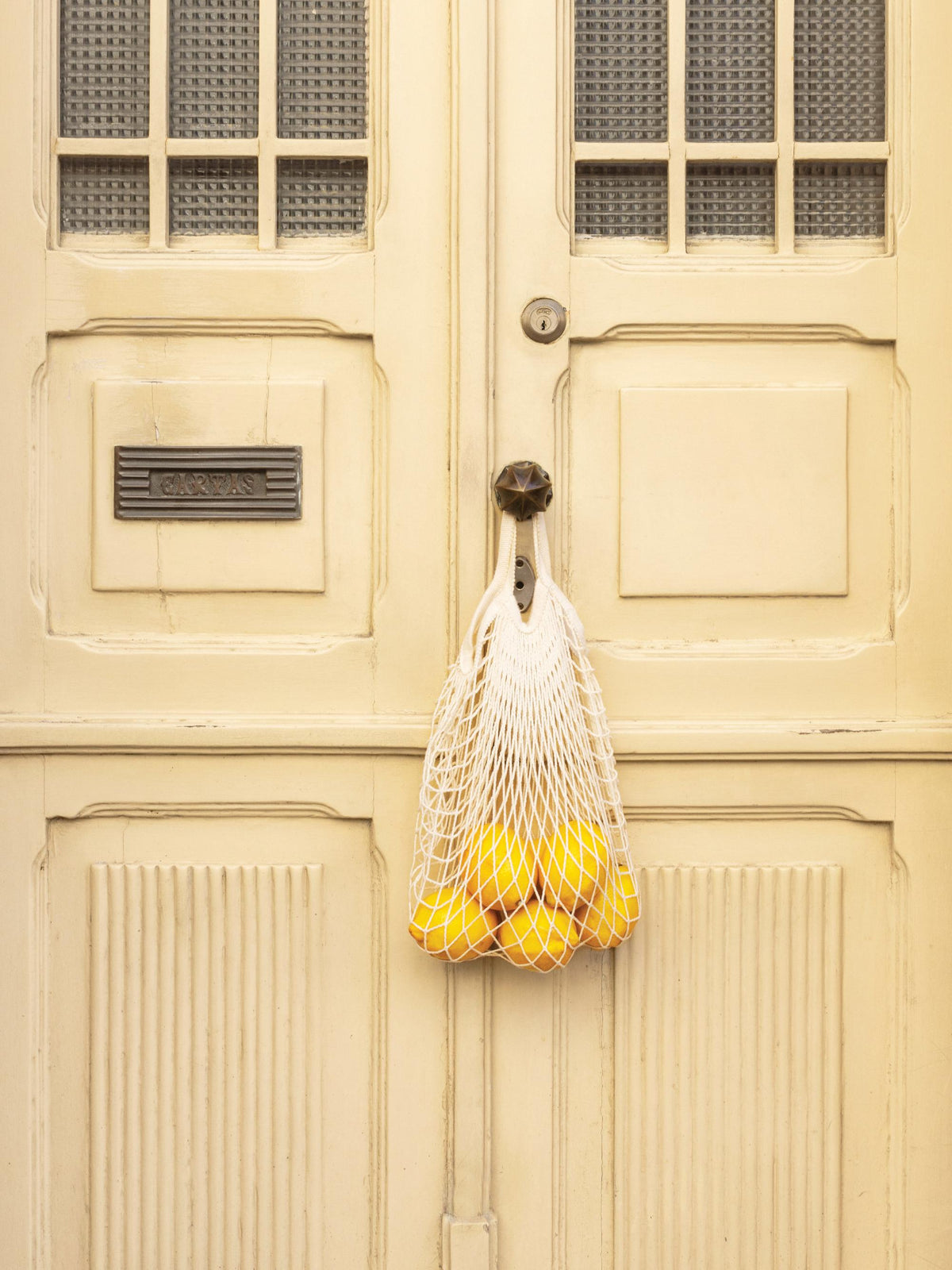 Citrus Delivery Print