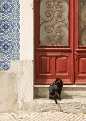 Rua Do Gato Print