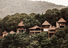 Treetop Retreat Print