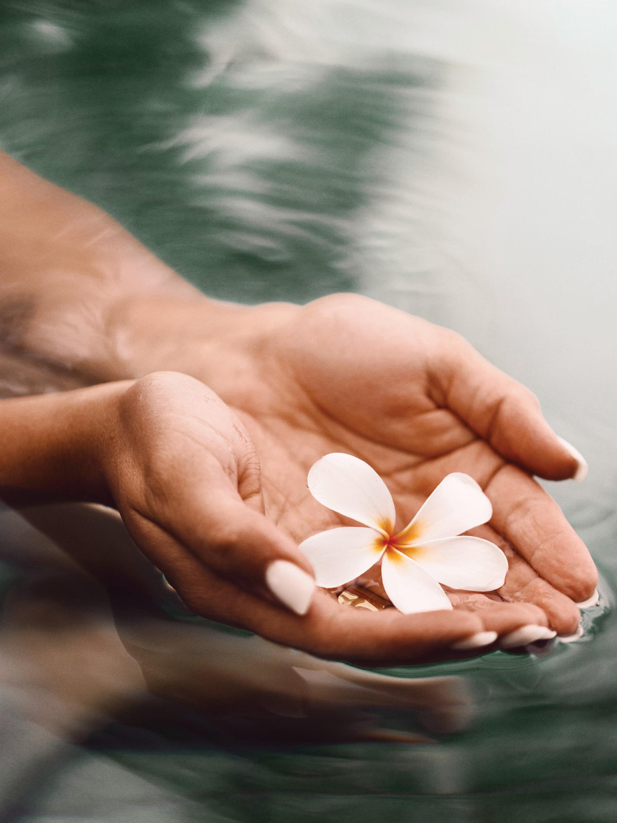 Thai Water Blossom Print